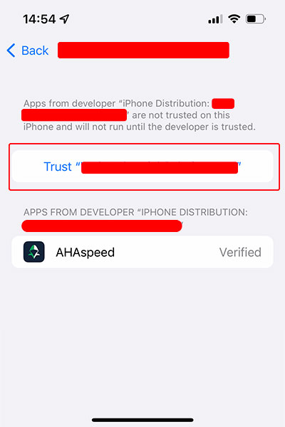 iOS install custom enterprise app, step 4, trust developer